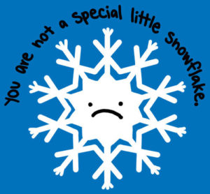 This is a cartoon of a frowning snowflake. The text, "you are not a special little snowflake," is superimposed above it.