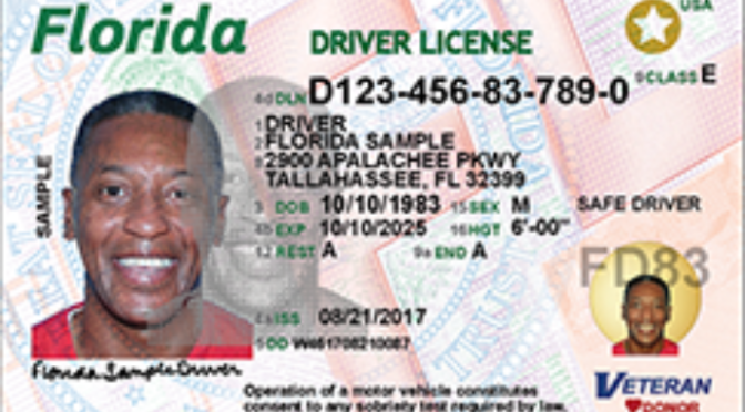 This is a sample image of what the new Florida driver's licenses look like.